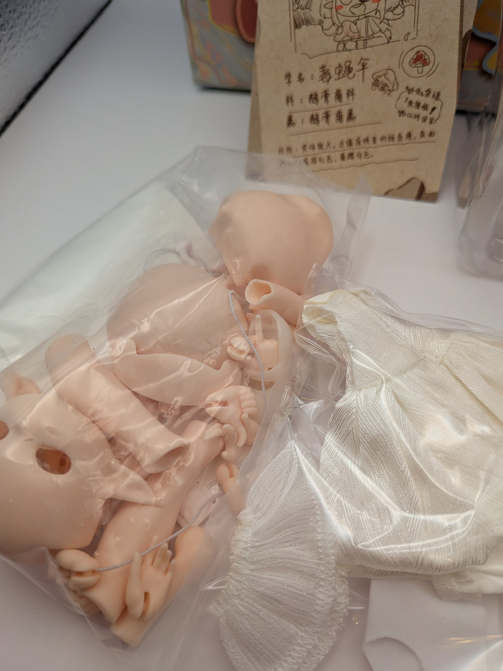 Mogo Bloom Mushroom Mycelium Naming BJD Series – Open (Revealed Character)