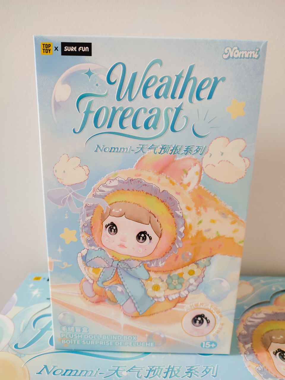 Nommi Weather Forecast Blind Box – Original Kawaii Plush Mystery Figure - Secret Garden Collectibles