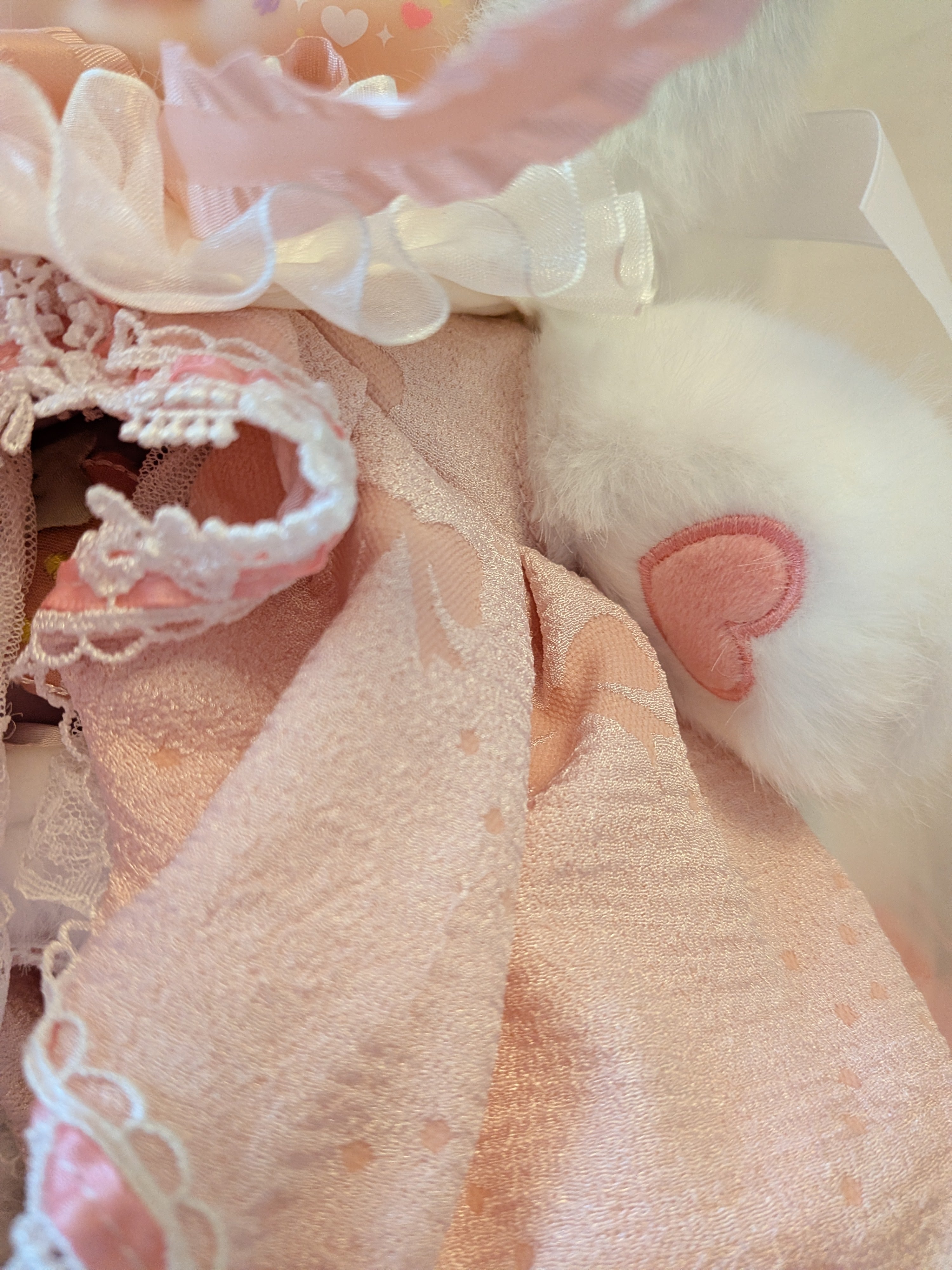 Nommi 2nd Anniversary Limited Edition – Premium Collectible Doll | Rare Anniversary Release - Secret Garden Collectibles