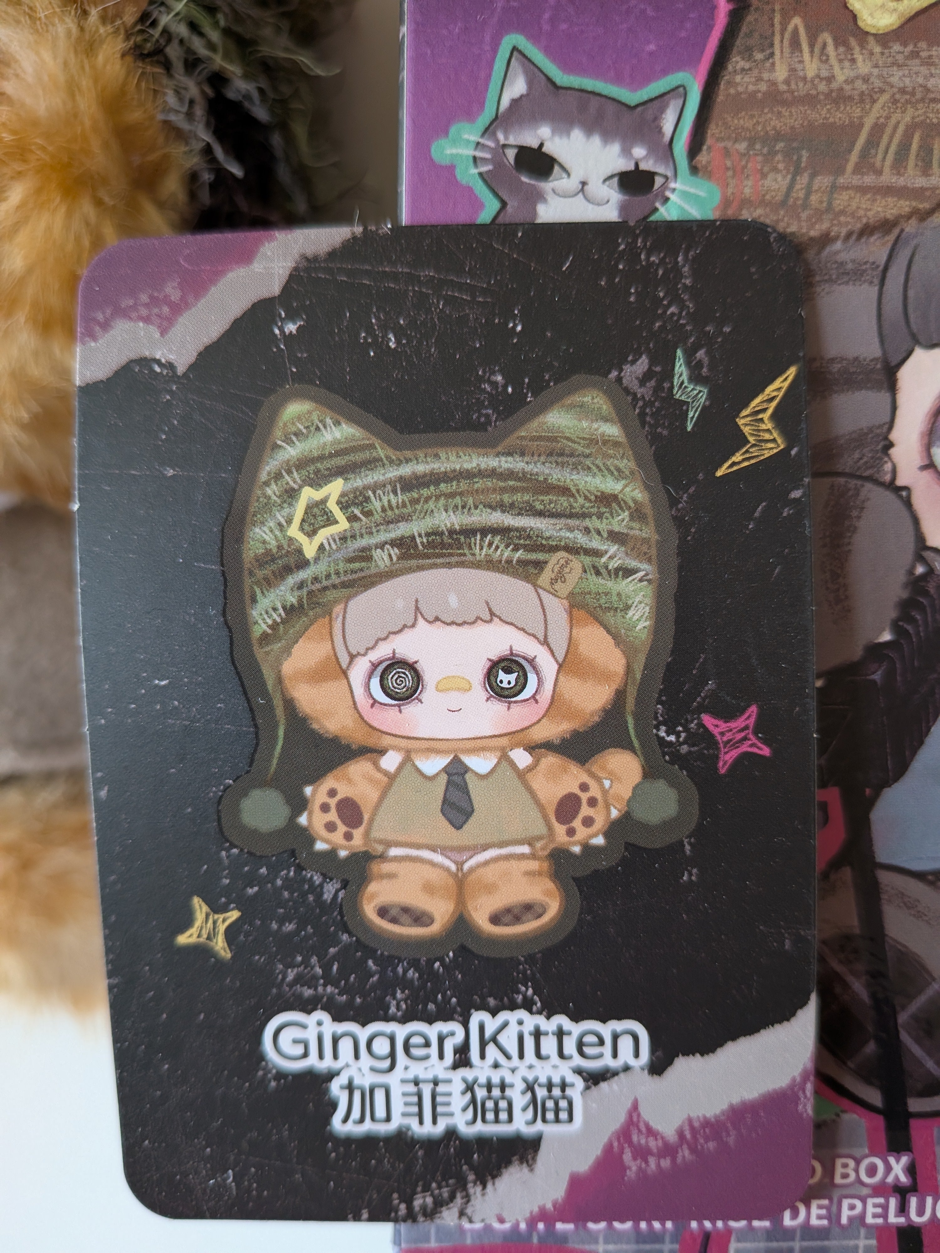 Maymei Kitten Academy GINGER