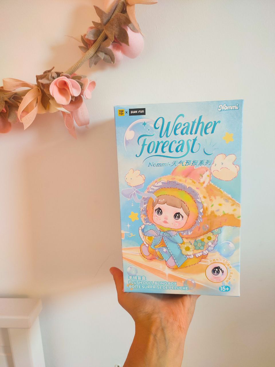 Nommi Weather Forecast Blind Box – Original Kawaii Plush Mystery Figure - Secret Garden Collectibles