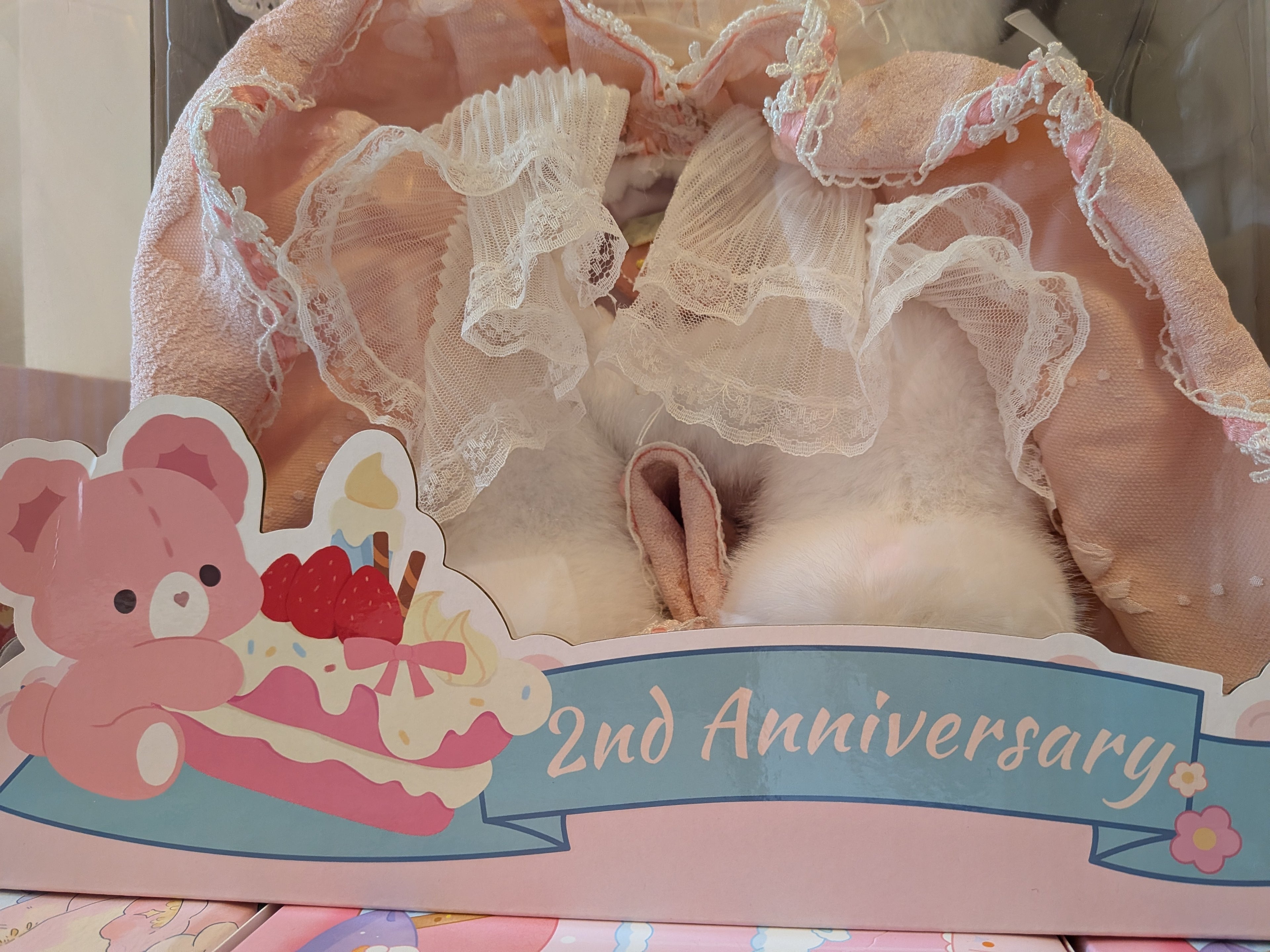 Nommi 2nd Anniversary Limited Edition – Premium Collectible Doll | Rare Anniversary Release - Secret Garden Collectibles